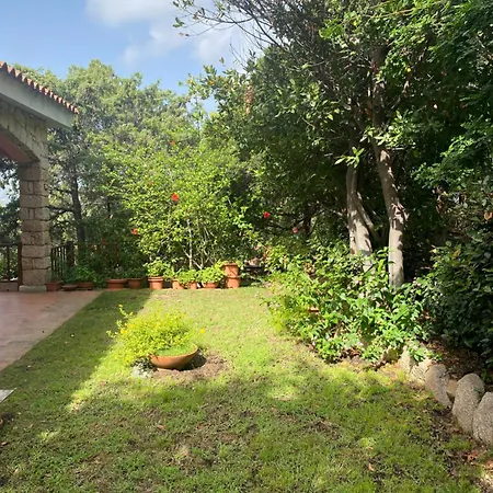 Casa Alma1