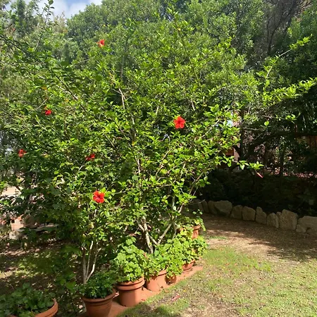 Vakantiehuis Casa Alma1